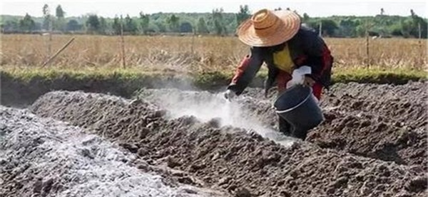 如何提高农家肥肥效