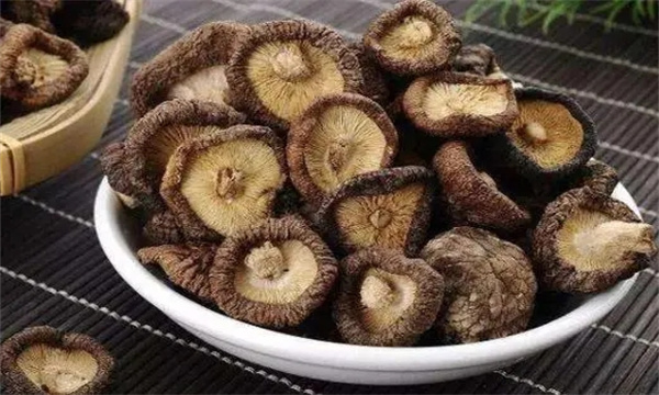 香菇怎么保存