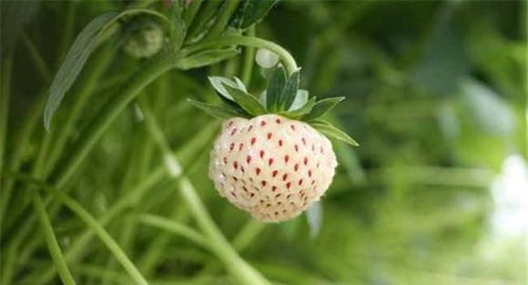 温度调控