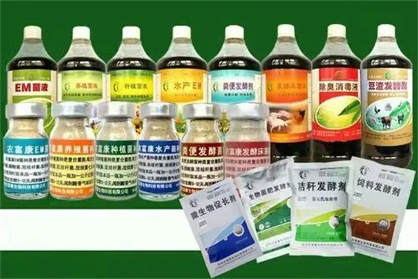 什么是EM菌