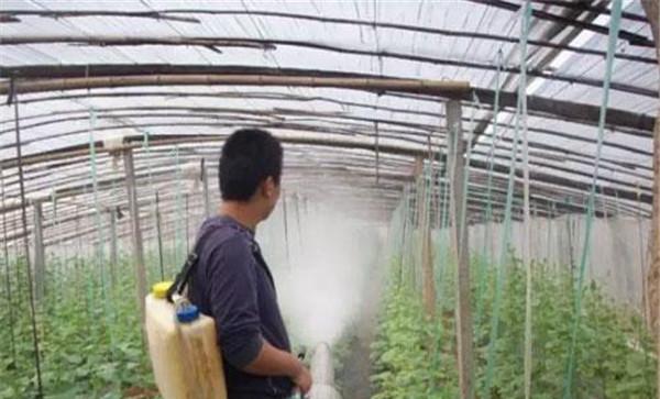 温室熏烟的使用方法