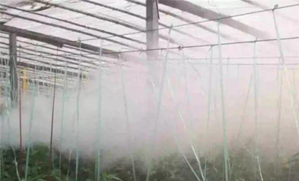 温室熏烟注意事项