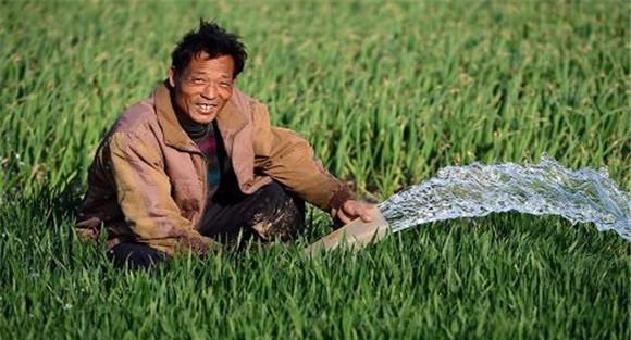 小麦浇水最佳时间