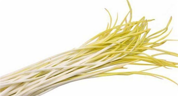 蒜黄的种植收获要点
