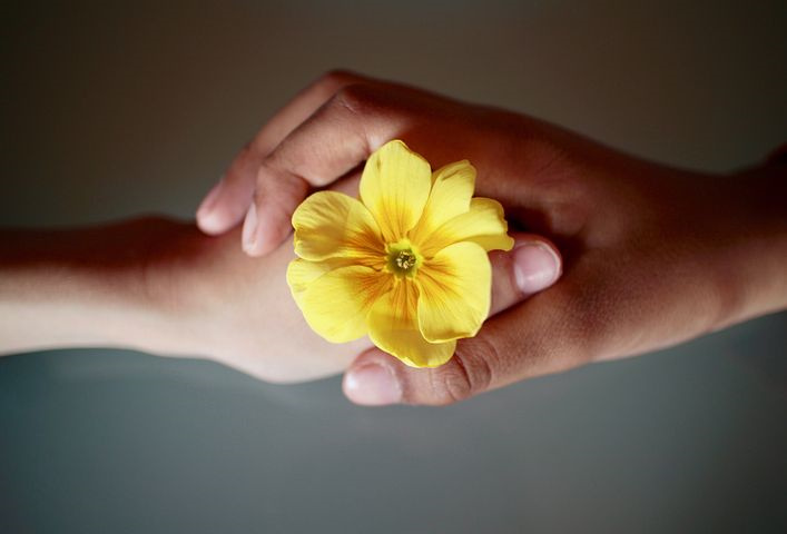 蜜蜂春繁阶段如何放王紧脾缩巢