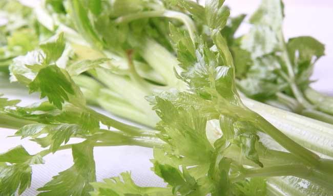 芹菜的功效