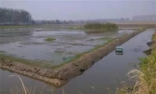 养殖的池塘条件