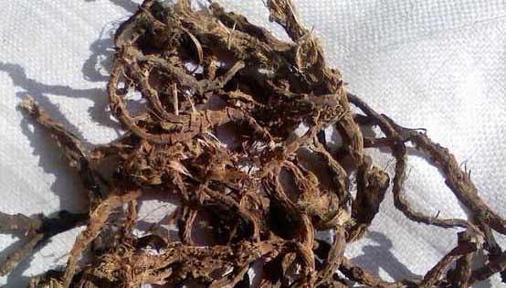 花卉的功效与作用