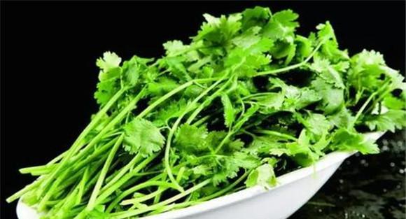 食用香菜的注意事项
