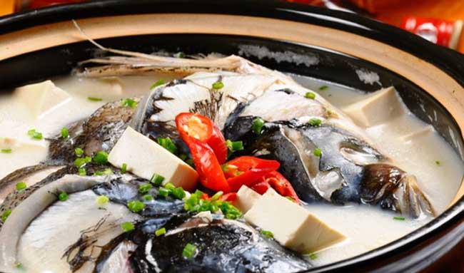 何首乌治白发的食用方法