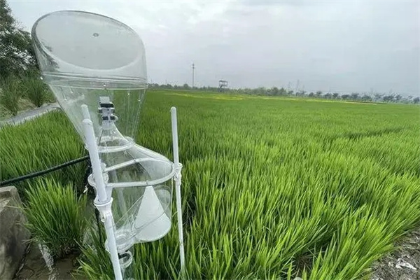 如何推进病虫害绿色防控技术