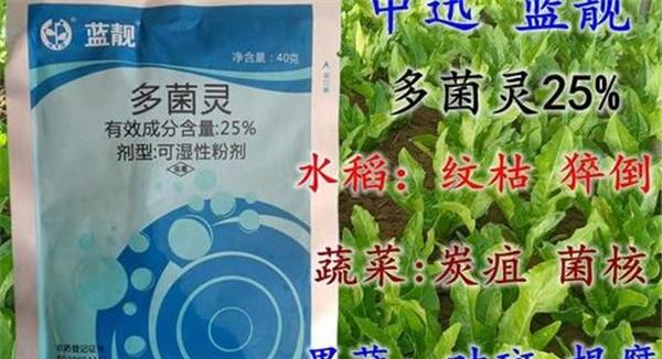 多菌灵可防治哪些病害