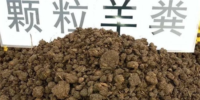 羊粪有机肥肥力如何