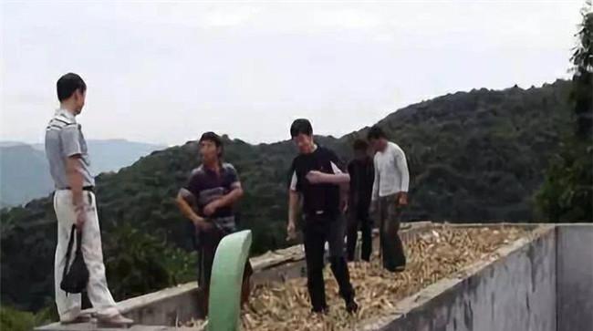青贮窖址选择问题