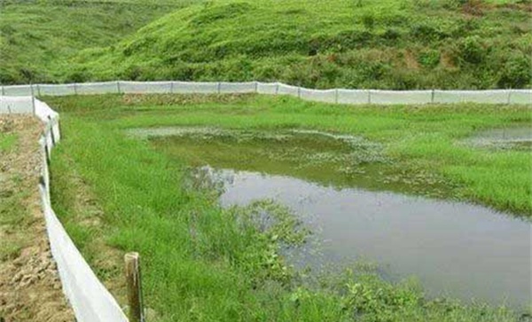 龙虾养殖怎么肥水
