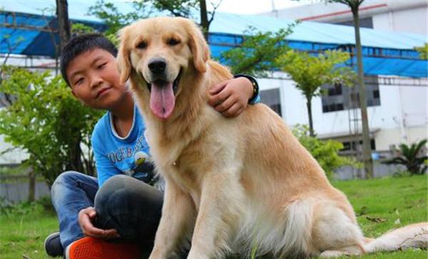 妊娠母犬管理应注意事项