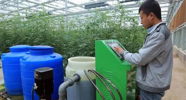 施用二氧化碳气体肥应注意的问题