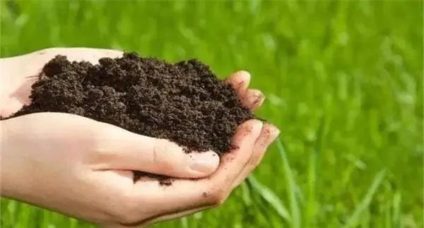 生物有机肥有什么作用