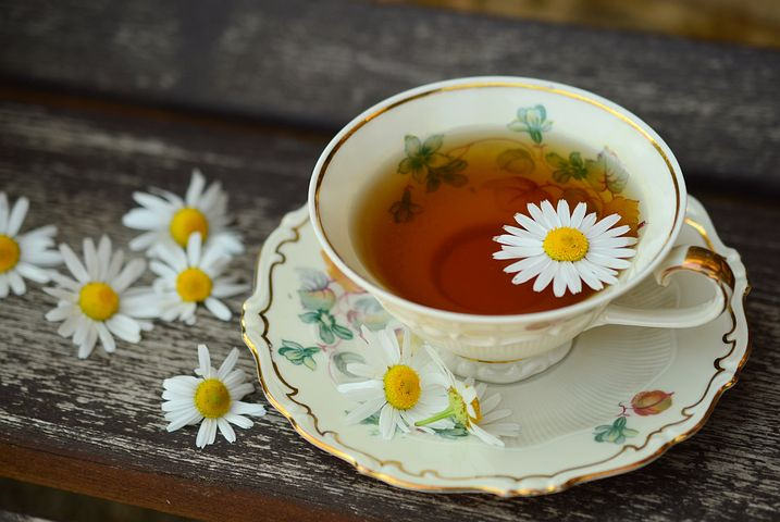 茶树茶园春茶前施催芽肥