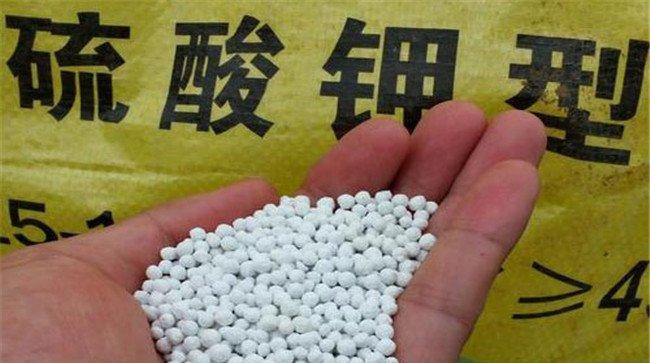 如何辩别真假复合肥