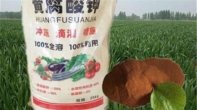 黄腐酸钾水溶肥的主要功效及其用法用量