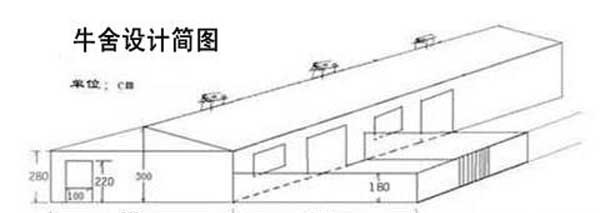 养牛技术