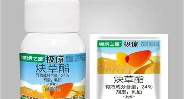 炔草酯防治哪些杂草