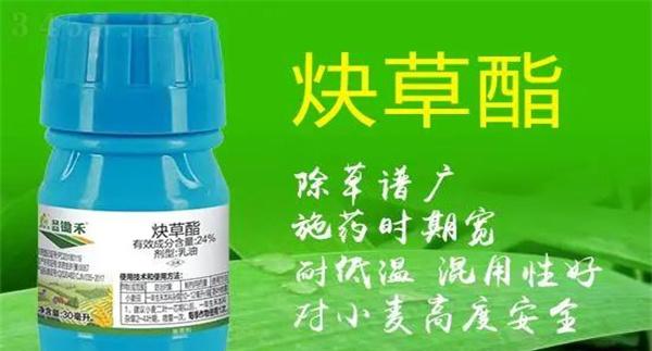 炔草酯的作用特点