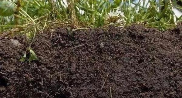 土壤团粒结构对土壤肥力有哪些作用