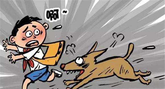 狗狗能传染给人什么病