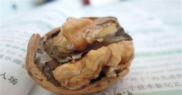 核桃仁霉烂病用什么药防治好