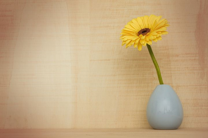 保护地蔬菜的病虫害防治