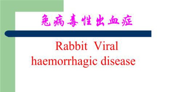 兔病毒性出血症诊疗失误产生的原因及纠正