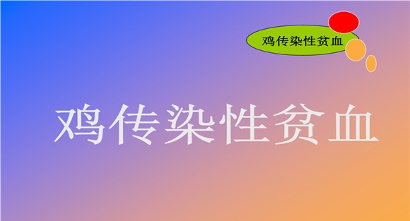 鸡传染性贫血的主要症状