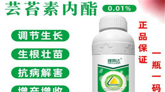 黄瓜有哪些生长调节剂