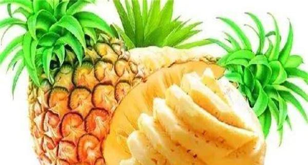 菠萝的功效与作用