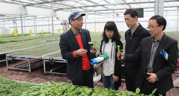 农村农业科技服务的基本内涵是什么
