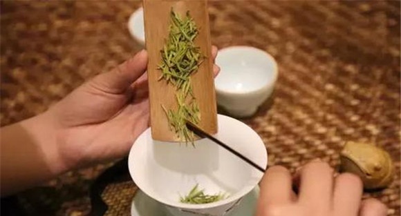 安吉白茶的冲泡方法
