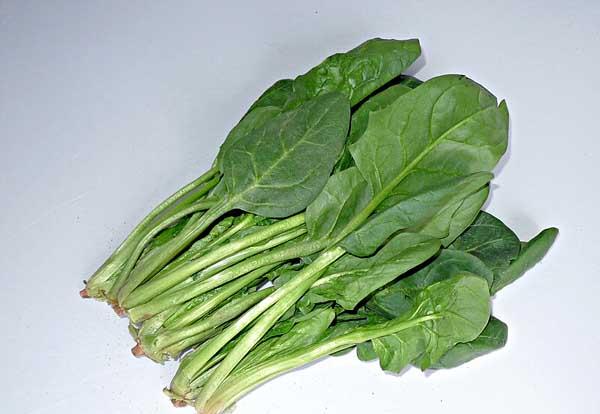 菠菜的营养价值