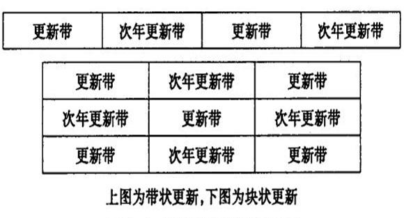 退化竹林块状更新改造方法