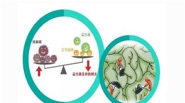 生态制剂和生态疗法