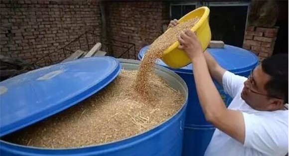 如何贮藏小麦 小麦保存方法