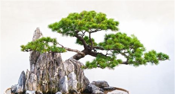 山水盆景