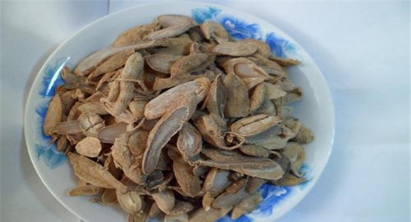 郁金的临床应用与组方