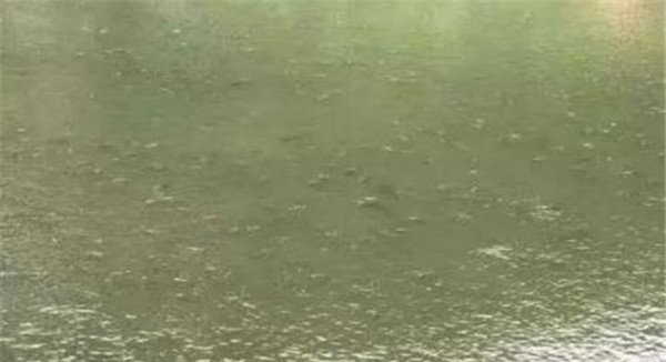 看鱼塘水体的变化