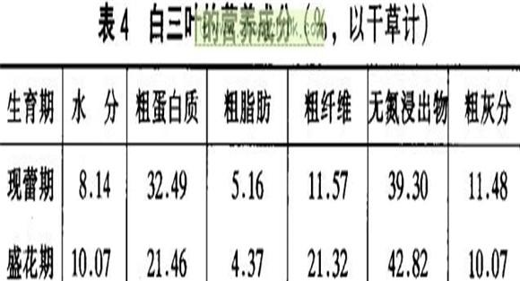 白三叶经济价值及利用