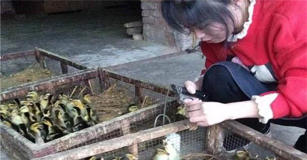 滴鼻点眼
