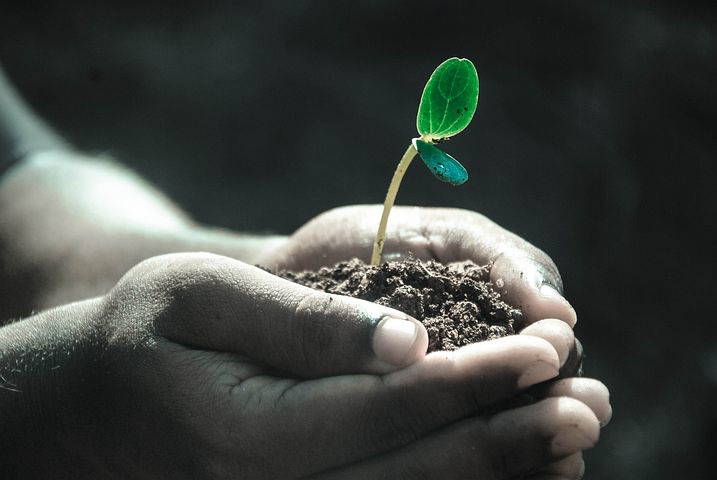 目前蔬菜生产所遇到的公害有哪几类