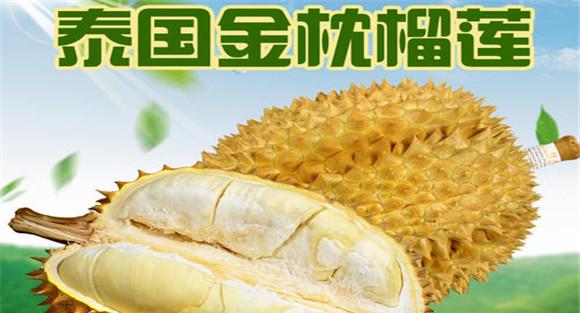 金枕头榴莲