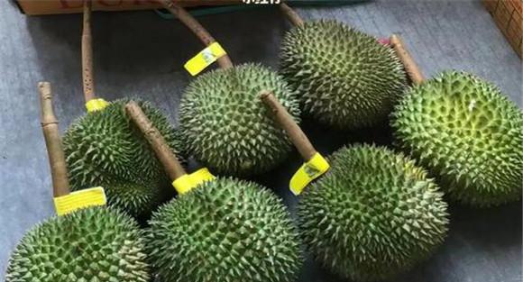 长柄榴莲